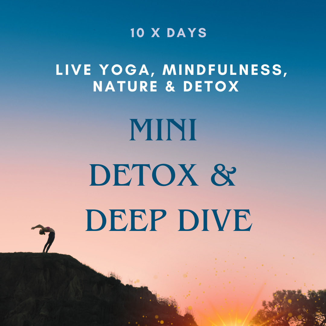 Mini Detox Purification for the Mind, Body & Soul. (group)