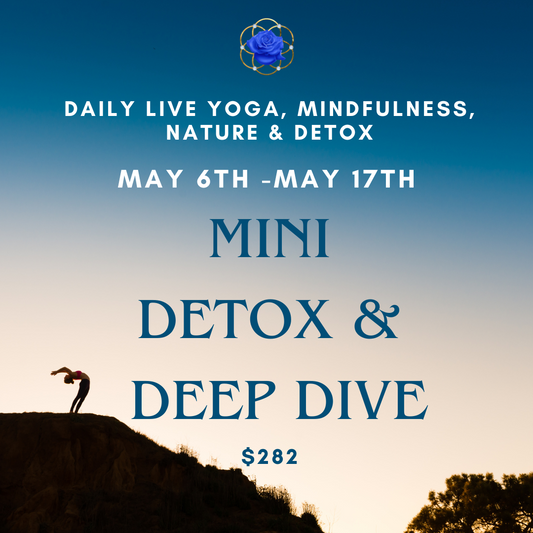 Detox & Deep Dive MINI ~ 10 day Purification of the Mind, Body & Soul. (group)