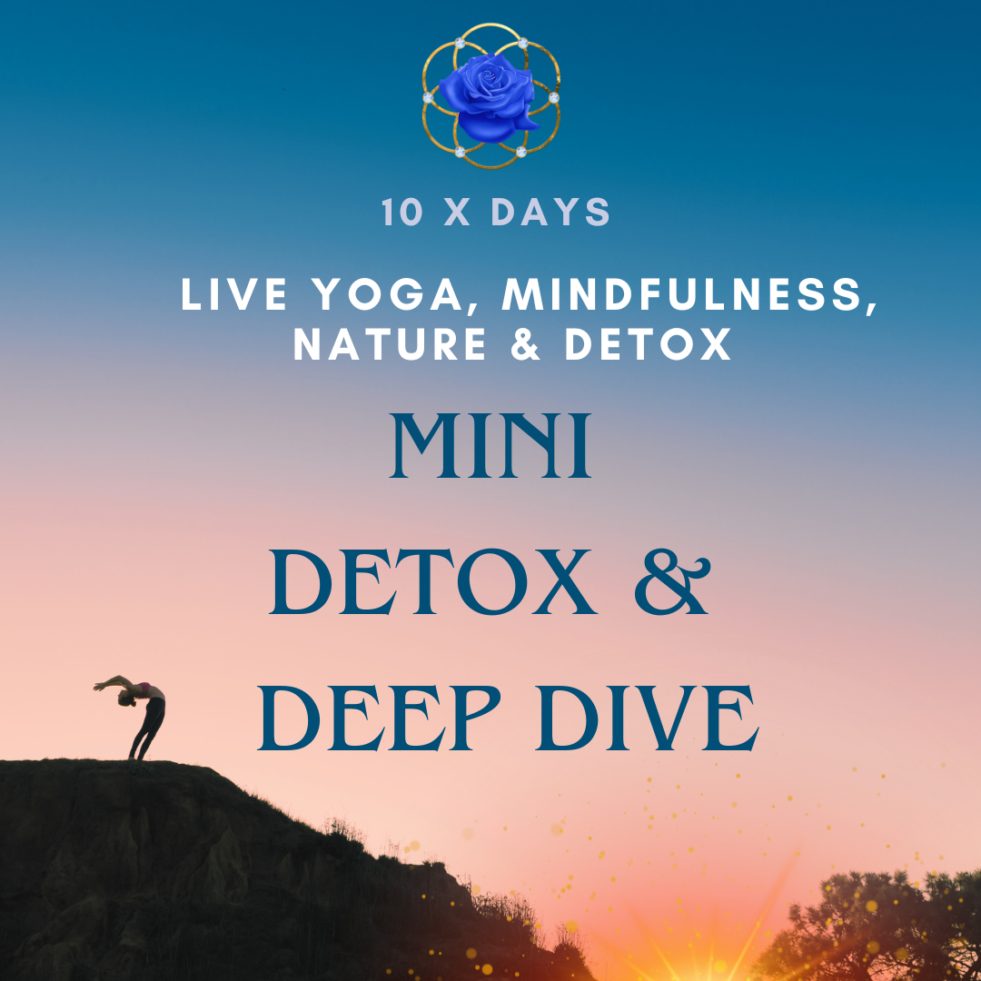 Detox & Deep Dive MINI ~ 10 day Purification of the Mind, Body & Soul. (group)