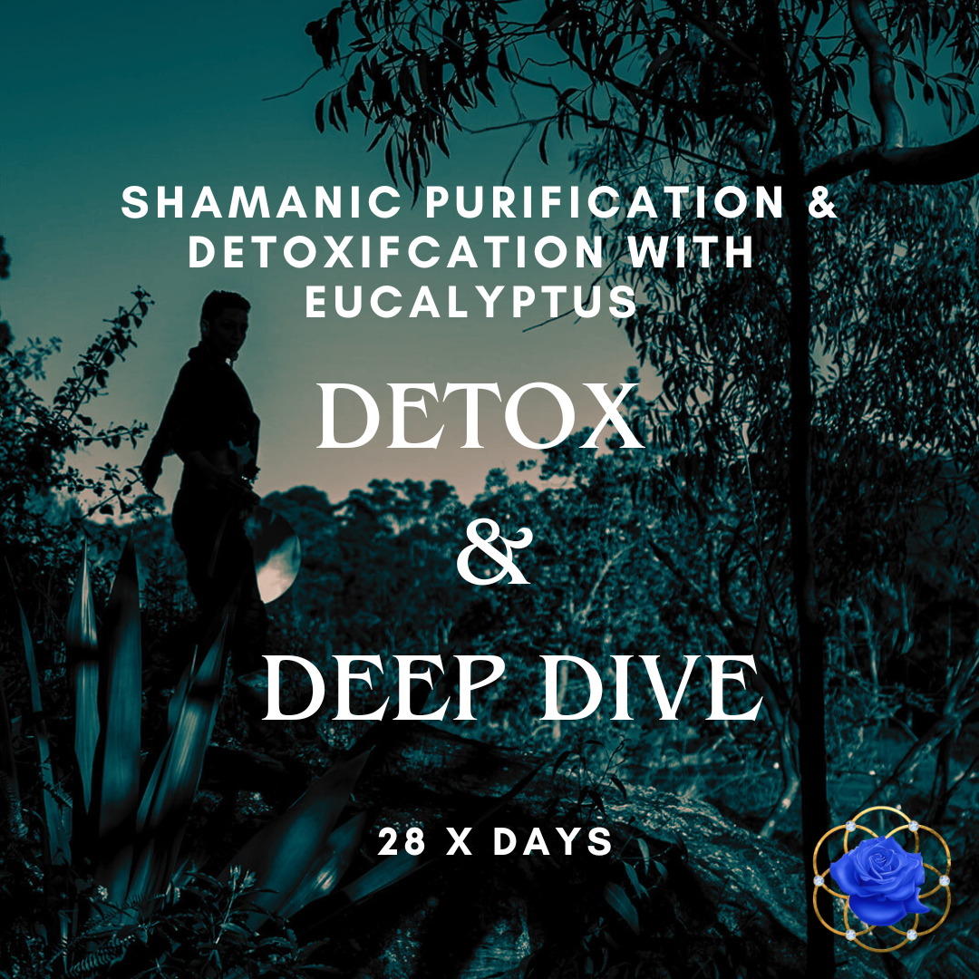 Detox & Deep Dive - 28 Day Purification of the Mind, Body & Soul.