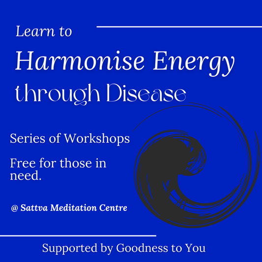 Harmonise Energy Workshop