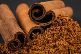 Cinnamon Bark - ORGANIC  100% Pure Essential Oil 10ml - Cinnamomum Zeylanicum